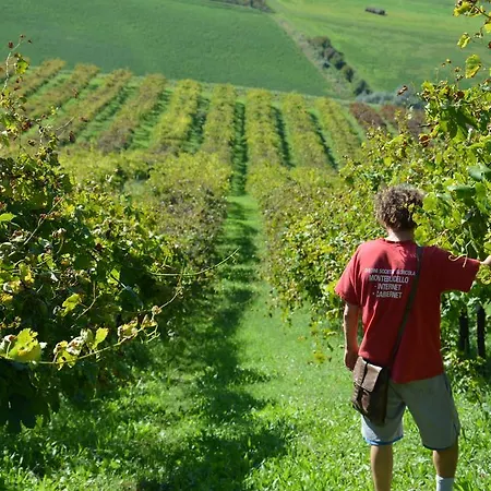 Feriegård Il Primo Fiore Mulino