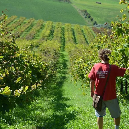 Alloggio per agriturismo Il Primo Fiore Mulino