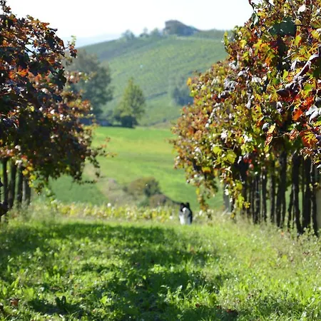 Feriegård Il Primo Fiore *