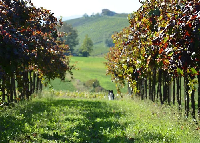 Feriegård Il Primo Fiore *