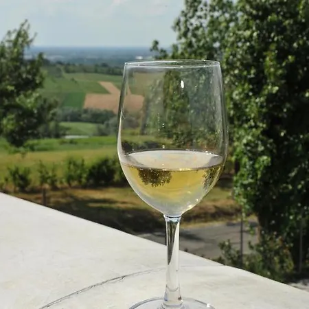 ファームステイ Il Primo Fiore *